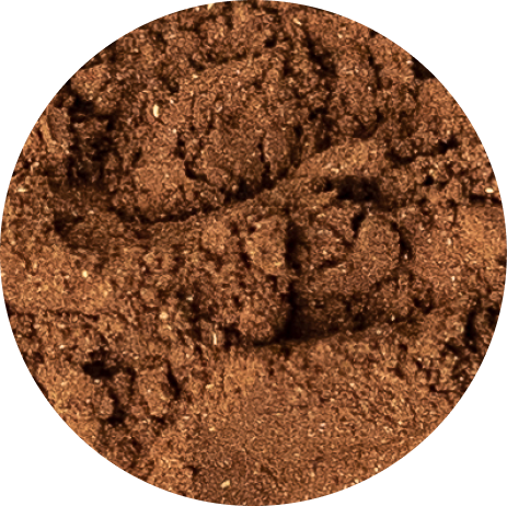 Chaga