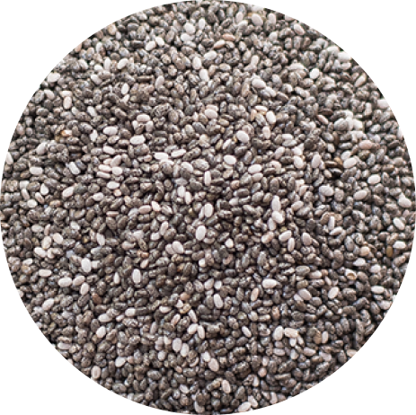 Chia-Samen