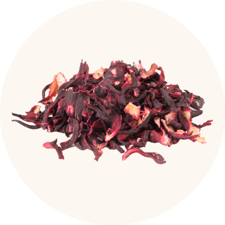 Hibiskus