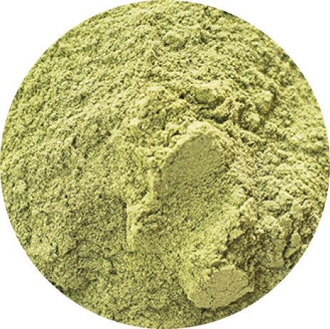 Moringa