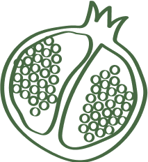 Pomegranate sketch